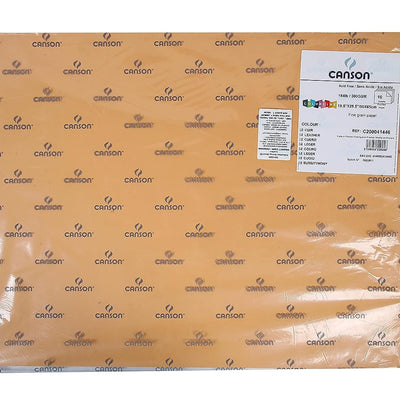 Canson Colorline 300 GSM Grainy 50 x 65 cm Coloured Drawing Paper Sheets(Leather, 10 Sheets)