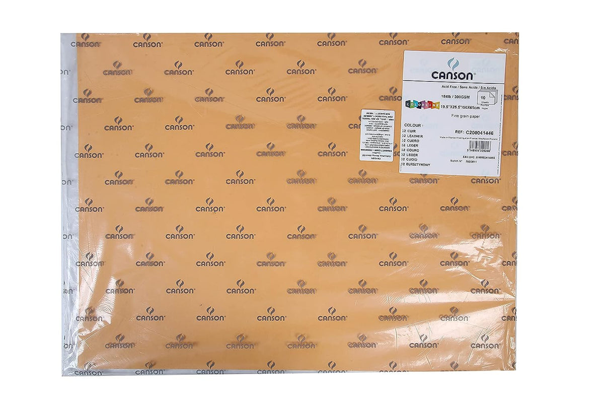 Canson Colorline 300 GSM Grainy 50 x 65 cm Coloured Drawing Paper Sheets(Leather, 10 Sheets)