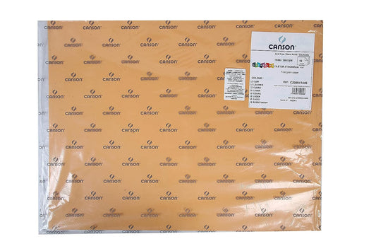 Canson Colorline 300 GSM Grainy 50 x 65 cm Coloured Drawing Paper Sheets(Leather, 10 Sheets)