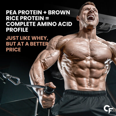 Carbamide Forte Plant Protein Powder - Plant Based Protein Powder with Multivitamin, Minerals, Superfoods, Pea Protein, Digestive Enzymes | 5 Flavors Protein Powder - Pack Of 5