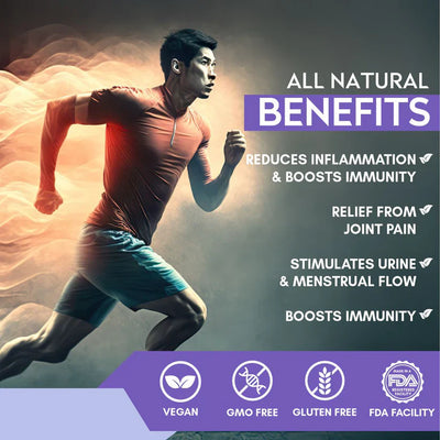Vitaminnica Boswellia Serrata 2500mg (5:1 Extract)