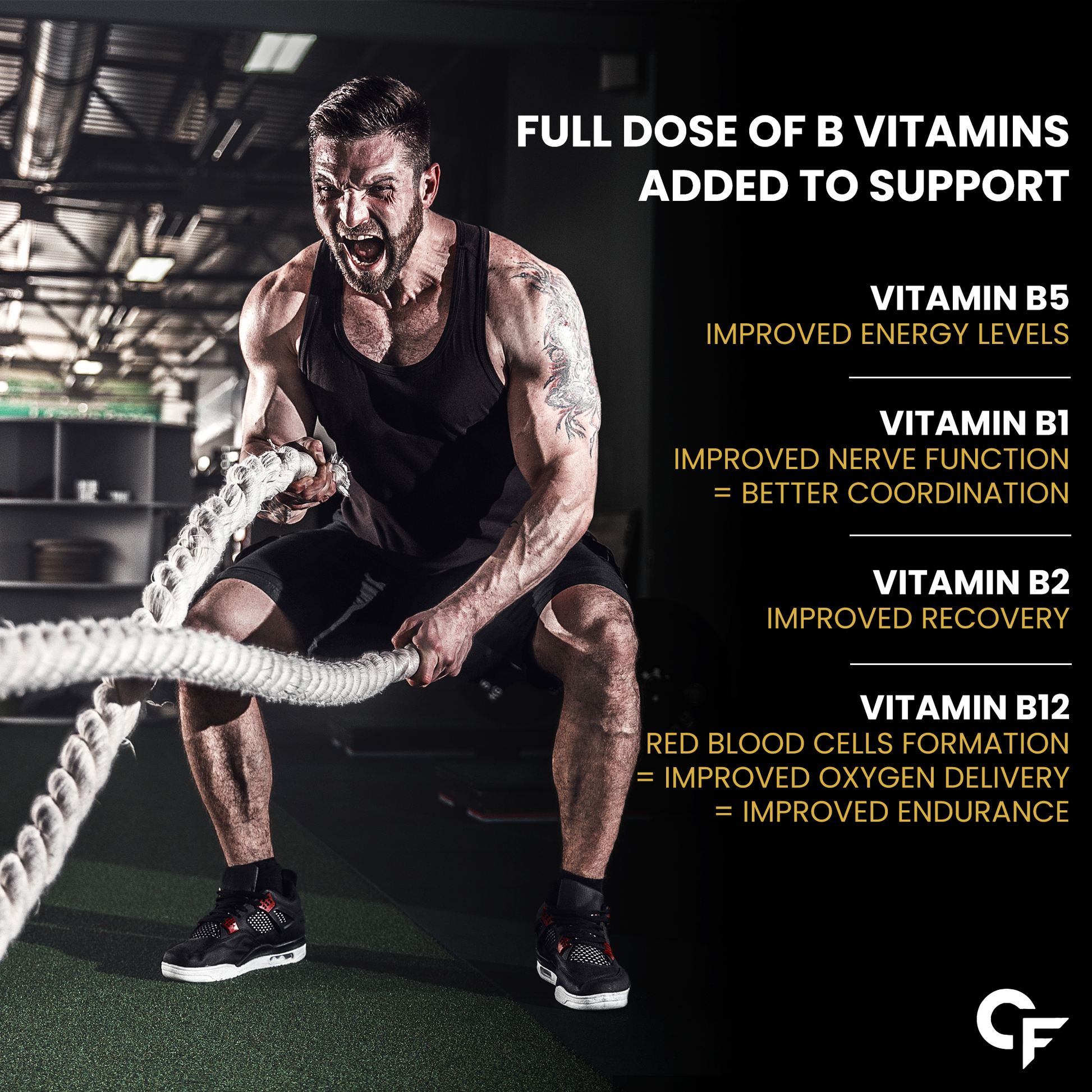 L-Carnitine Liquid 3300 mg Per Serving with Added Vitamins - Pack of 1 L-Carnitine Liquid 3300 mg Per Serving with Added Vitamins - Pack of 1