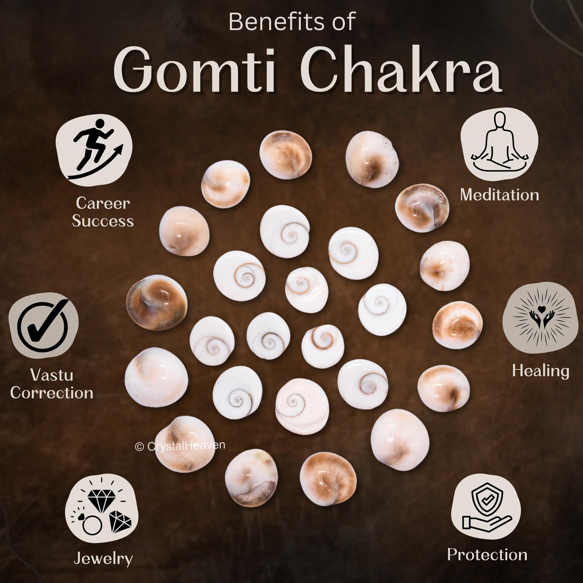 Certified Gomati Chakra Original River Stones - 11 Pieces Gomti Chakra Original from Gomathi River Dwarka (11 Pieces)