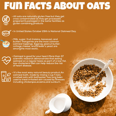 UNIFIT Honey Rolled Oats | Honey Oats | Healthy Breakfast | Rich Source of Protein & High Fiber Oats | Whole grain Oats | 400g | Pack of 1