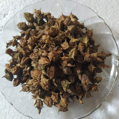 Ambe Ayurveda - Gokhru Bada Seed - Pedalium Murex - Large Caltrops Raw - 50gm
