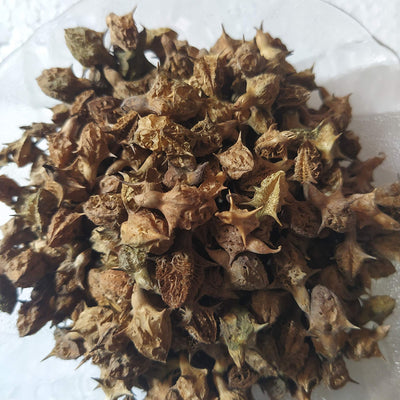 Ambe Ayurveda - Gokhru Bada Seed - Pedalium Murex - Large Caltrops Raw - 50gm