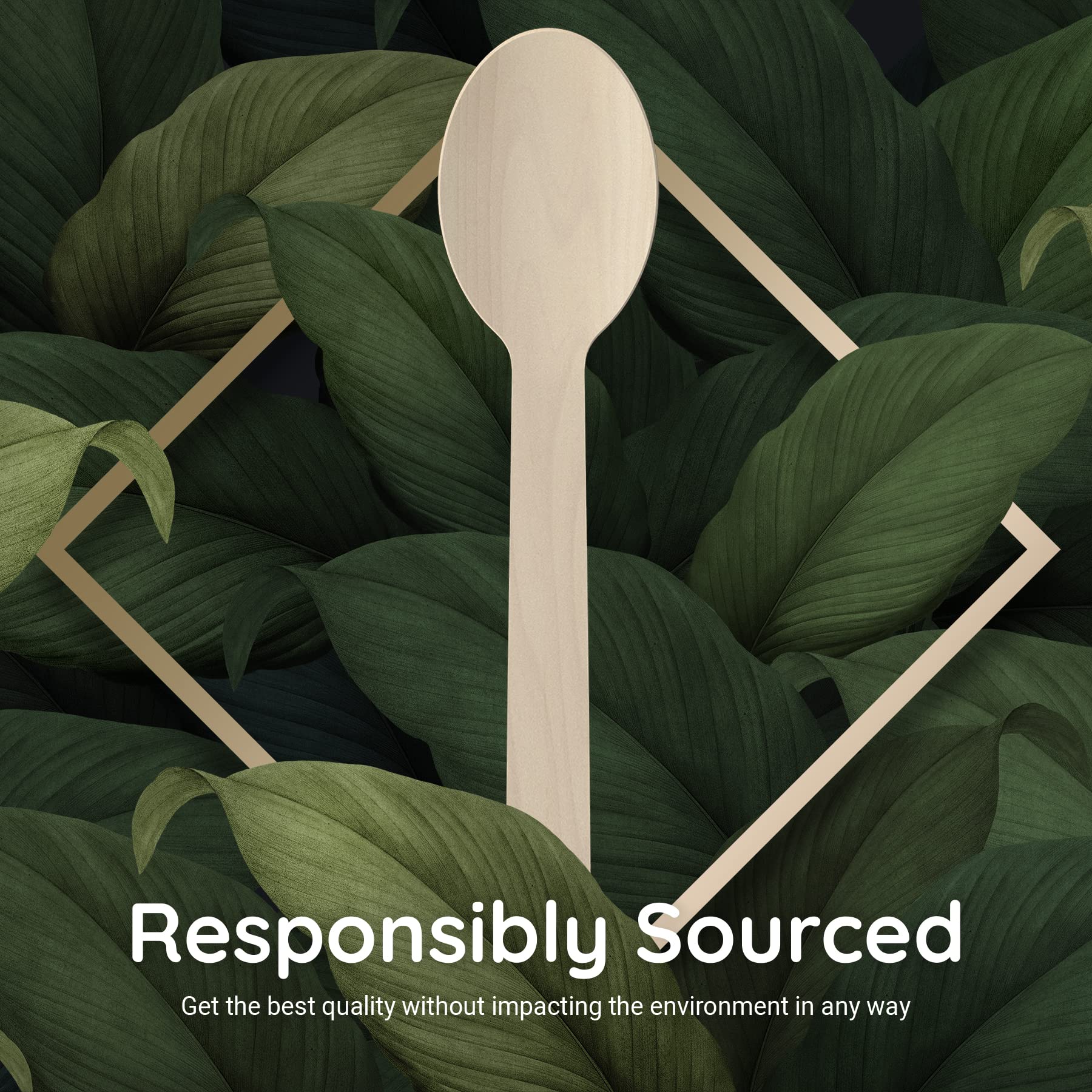 ABPP Disposable Spoon - 200 Disposable Wooden Spoons Set (Big Size - 16cm Big Size) | Spoons for Eating Food, Ice-Cream | Best Cutlery Set for Kitchen, Birthday, Parties, Picnic, Office & Restaurant