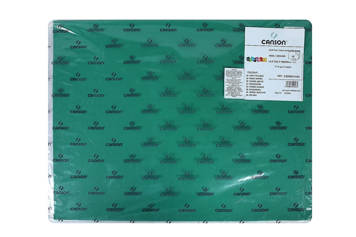 Canson Colorline 300 GSM Grainy 50 x 65 cm Coloured Drawing Paper Sheets(Moss Green, 10 Sheets)