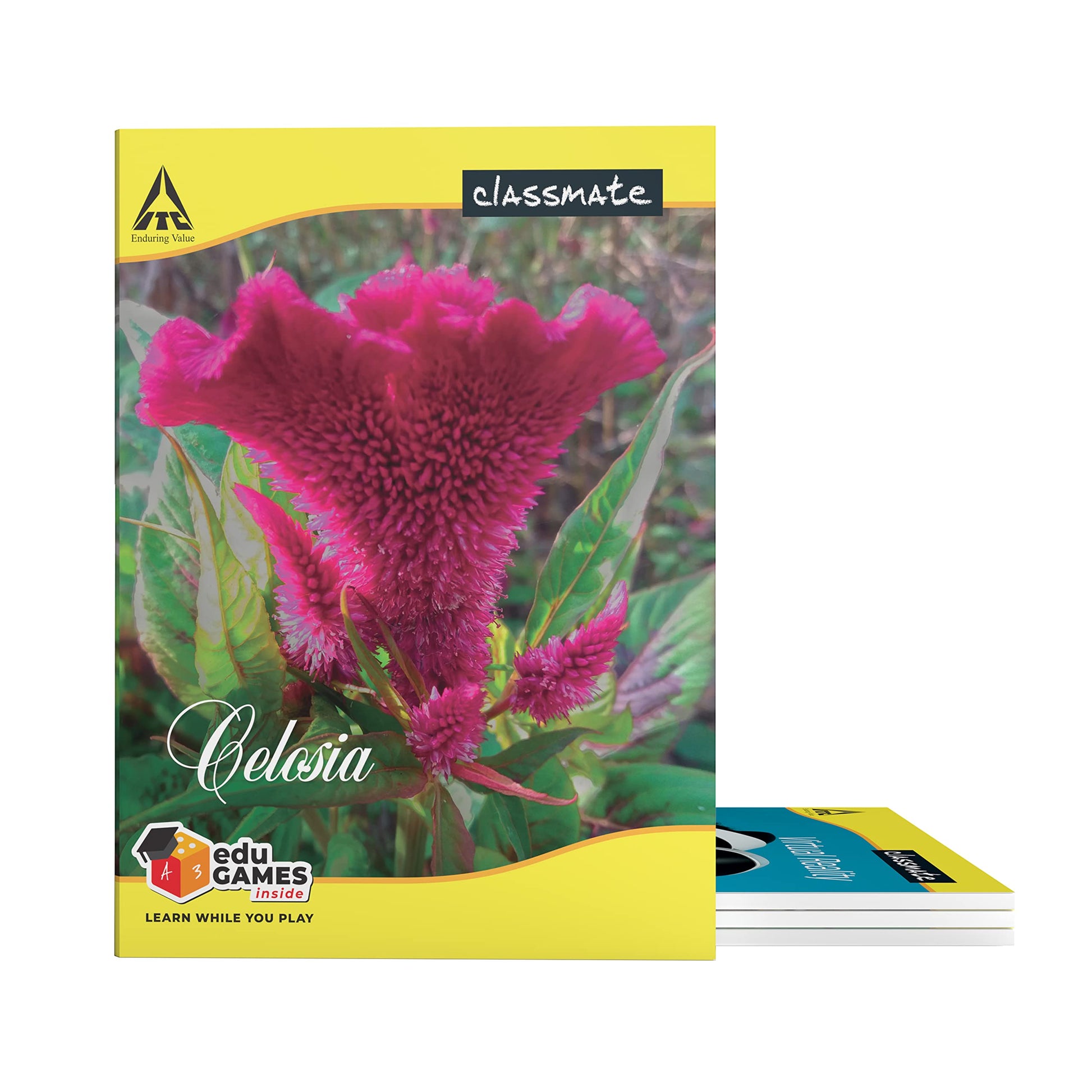 Classmate Notebook - Single Line, 72 Pages, 240 mm x 180 mm - Pack Of 8