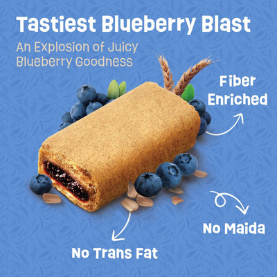 RiteBite Wellness Snack Bar Blueberry Blast | Fruit Filled Fiber Bar, Natural Ingredients, Rich in Fiber, No Preservatives | 40g (Pack of 12)