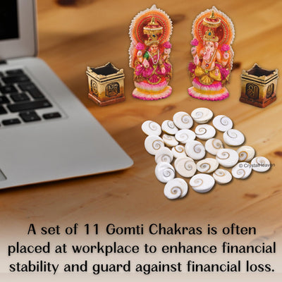 Certified Gomati Chakra Original River Stones - 11 Pieces Gomti Chakra Original from Gomathi River Dwarka (11 Pieces)