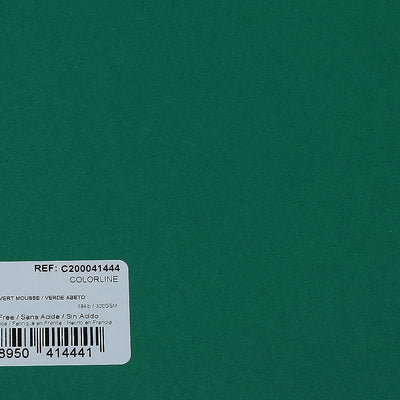 Canson Colorline 300 GSM Grainy 50 x 65 cm Coloured Drawing Paper Sheets(Moss Green, 10 Sheets)