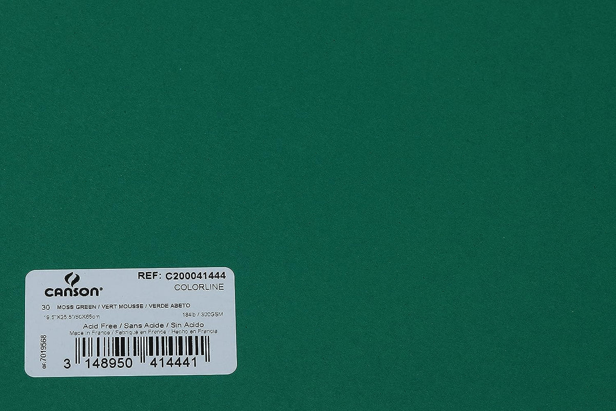 Canson Colorline 300 GSM Grainy 50 x 65 cm Coloured Drawing Paper Sheets(Moss Green, 10 Sheets)