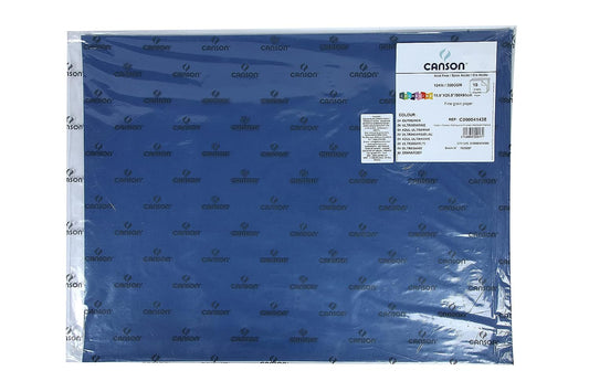 Canson Colorline 300 GSM Grainy 50 x 65 cm Coloured Drawing Paper Sheets(Ultramarine, 10 Sheets)