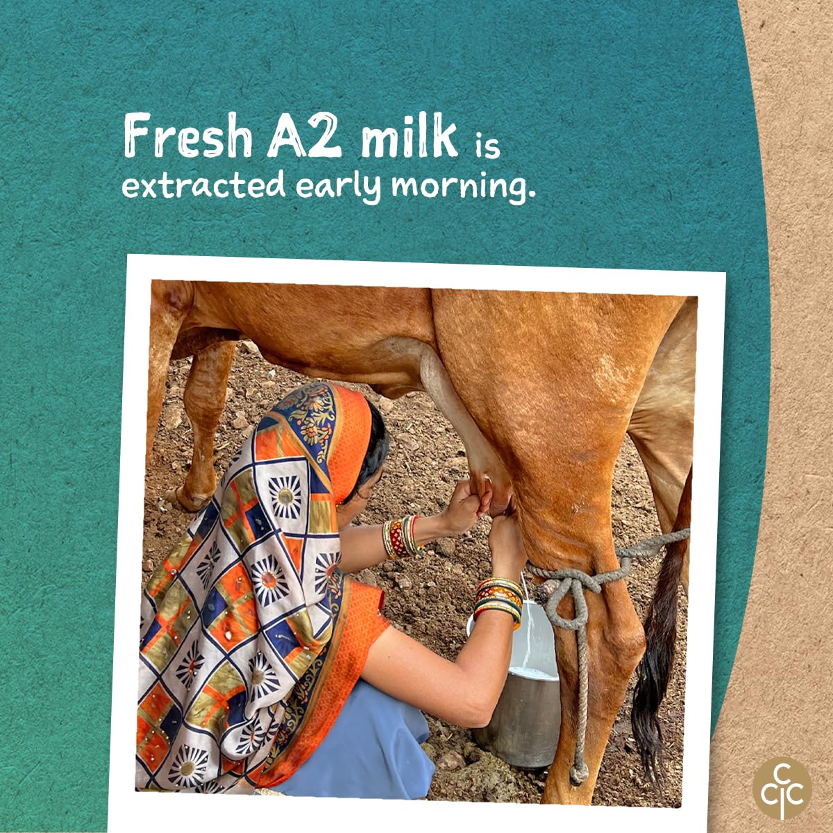 Conscious Food A2 Gir Cow Ghee | 600ml | with Pure A2 Milk | Grass-fed, Cultured, Premium & Traditional Bilona Ghee | Immunity Booster