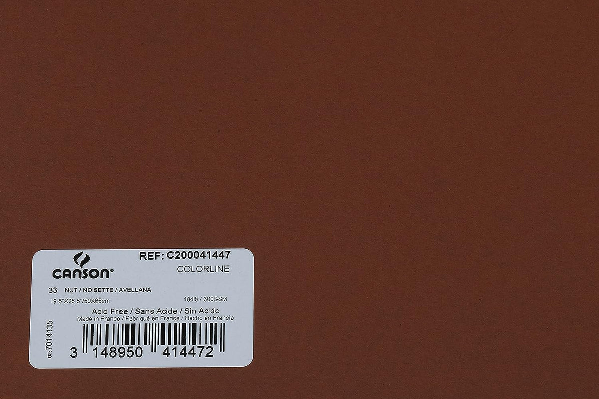 Canson Colorline 300 GSM Grainy 50 x 65 cm Coloured Drawing Paper Sheets(Nut, 10 Sheets)