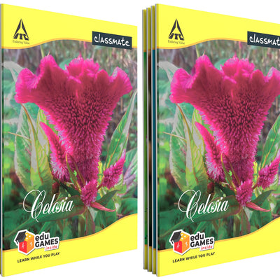 Classmate Notebook - Single Line, 72 Pages, 240 mm x 180 mm - Pack Of 8