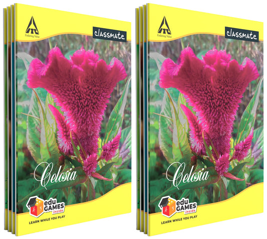 Classmate Notebook - Single Line, 72 Pages, 240 mm x 180 mm - Pack Of 8