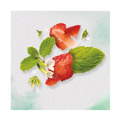 Herbal Essences bio:renew White Strawberry & Sweet Mint SHAMPOO, 400ml, No Parabens No Colourants