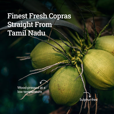 Anveshan Cold Pressed Virgin Coconut Oil 500ML | Glass Jar | Virgin Coconut Oil for Cooking | Virgin Coconut oil for massage | 100% Pure, Natural,Chemical-Free & Edible Coconut Oil | For Cooking, Skin & Hair Health, Oil Pulling
