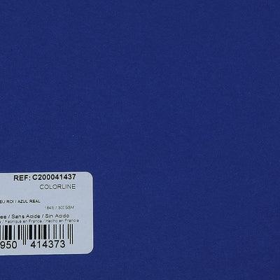 Canson Colorline 300 GSM Grainy 50 x 65 cm Coloured Drawing Paper Sheets(Royal Blue, 10 Sheets)