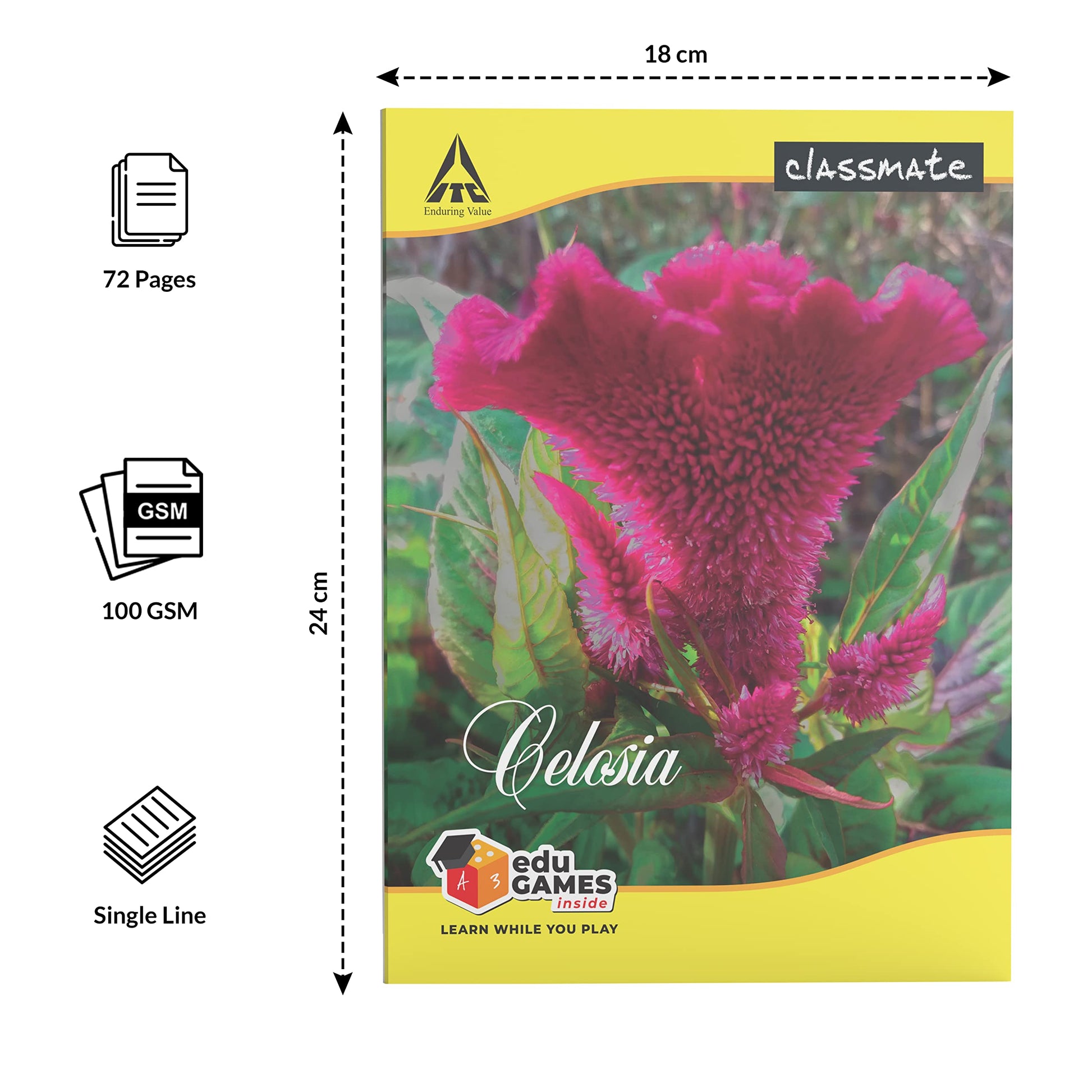 Classmate Notebook - Single Line, 72 Pages, 240 mm x 180 mm - Pack Of 8