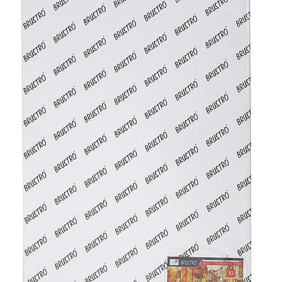 Brustro Artists' Oil Painting Paper  300 GSM A2 (Pack of 10 Sheets)