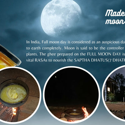 Gorochana 100% Source Traceable Desi Malnad Gidda A2 Full Moon Day Bilona Cow Ghee | Pure Ghee | Organic Ghee