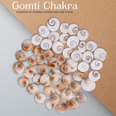 Certified Gomati Chakra Original River Stones - 11 Pieces Gomti Chakra Original from Gomathi River Dwarka (11 Pieces)