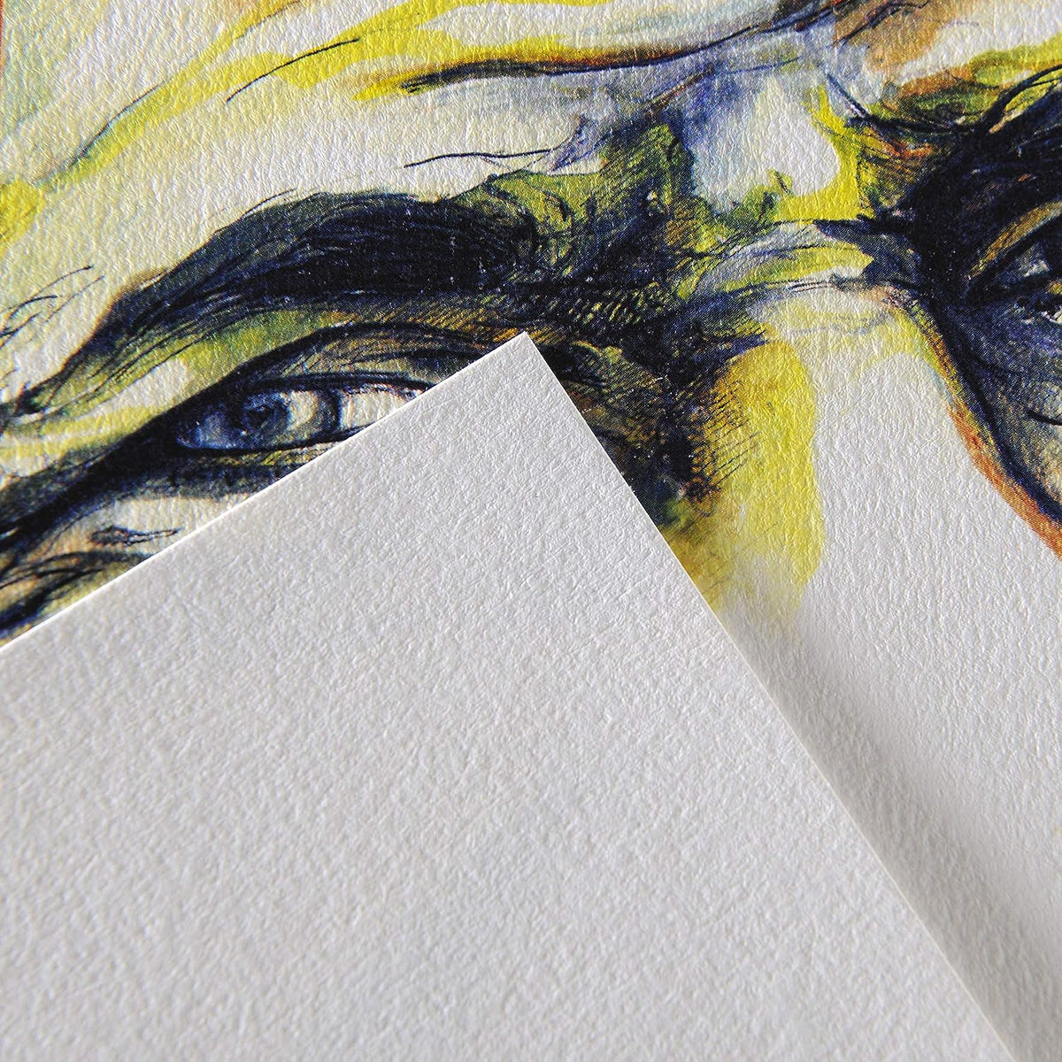 Canson C à  Grain Drawing 180 GSM Fine Grain 50 x 65 cm Paper Sheets (Natural White, 50 Sheets)