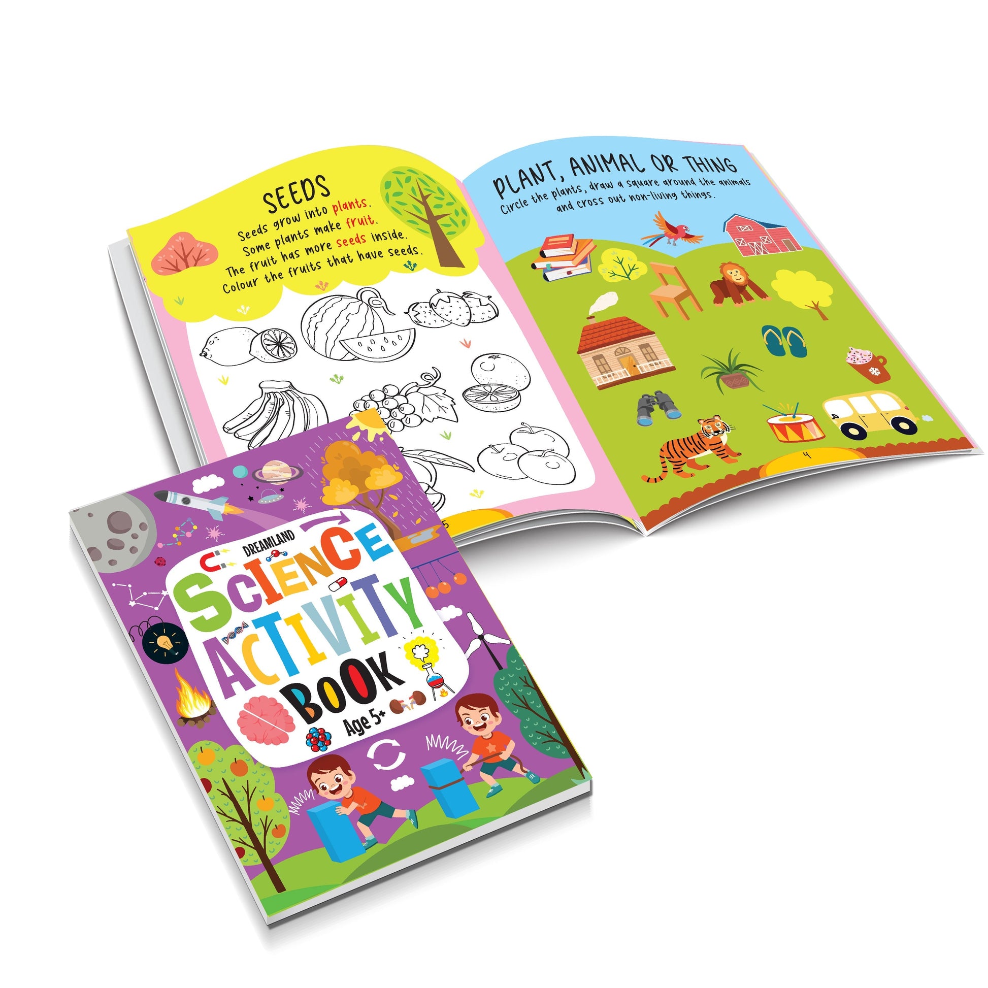 Dreamland Publications Science Activity Books Pack- A Set of 3 Books