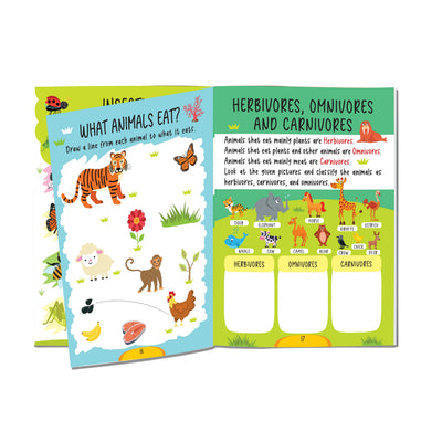 Dreamland Publications Science Activity Books Pack- A Set of 3 Books
