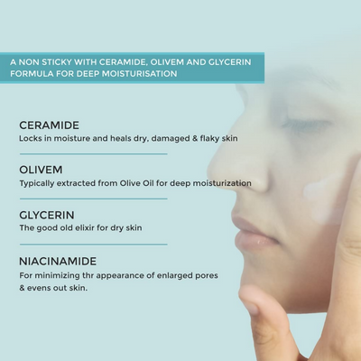 Dermabay Hydrating Moisturizer Lotion With Niacinamide And Ceramides