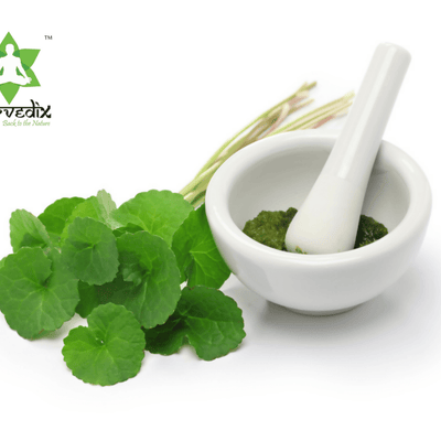 Ayurvedix Organic Gotu Kola Leaf Extract Powder