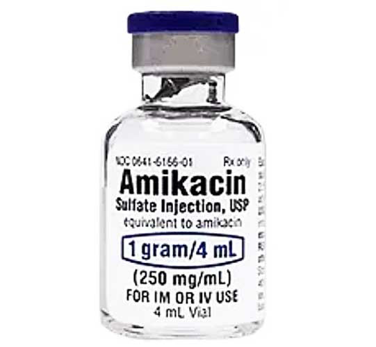 Amikacin Sulfate Injection 250 mg/mL Single Dose Vials 4 mL x 10/Box Hikma Injectables (RX)