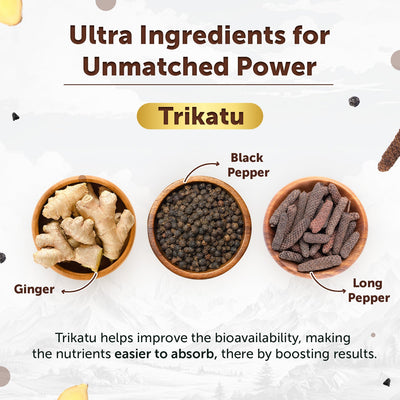 Shilajit Gold Ultra Resin 20g - Powerful Stamina Booster