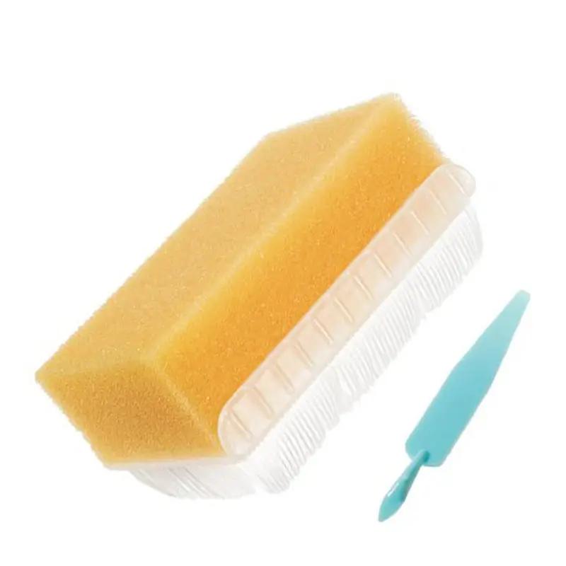 BD 371603 E-Z 160 Surgical Scrub Brush with Sponge & Nail Cleaner, No Detergent 30 Per Box