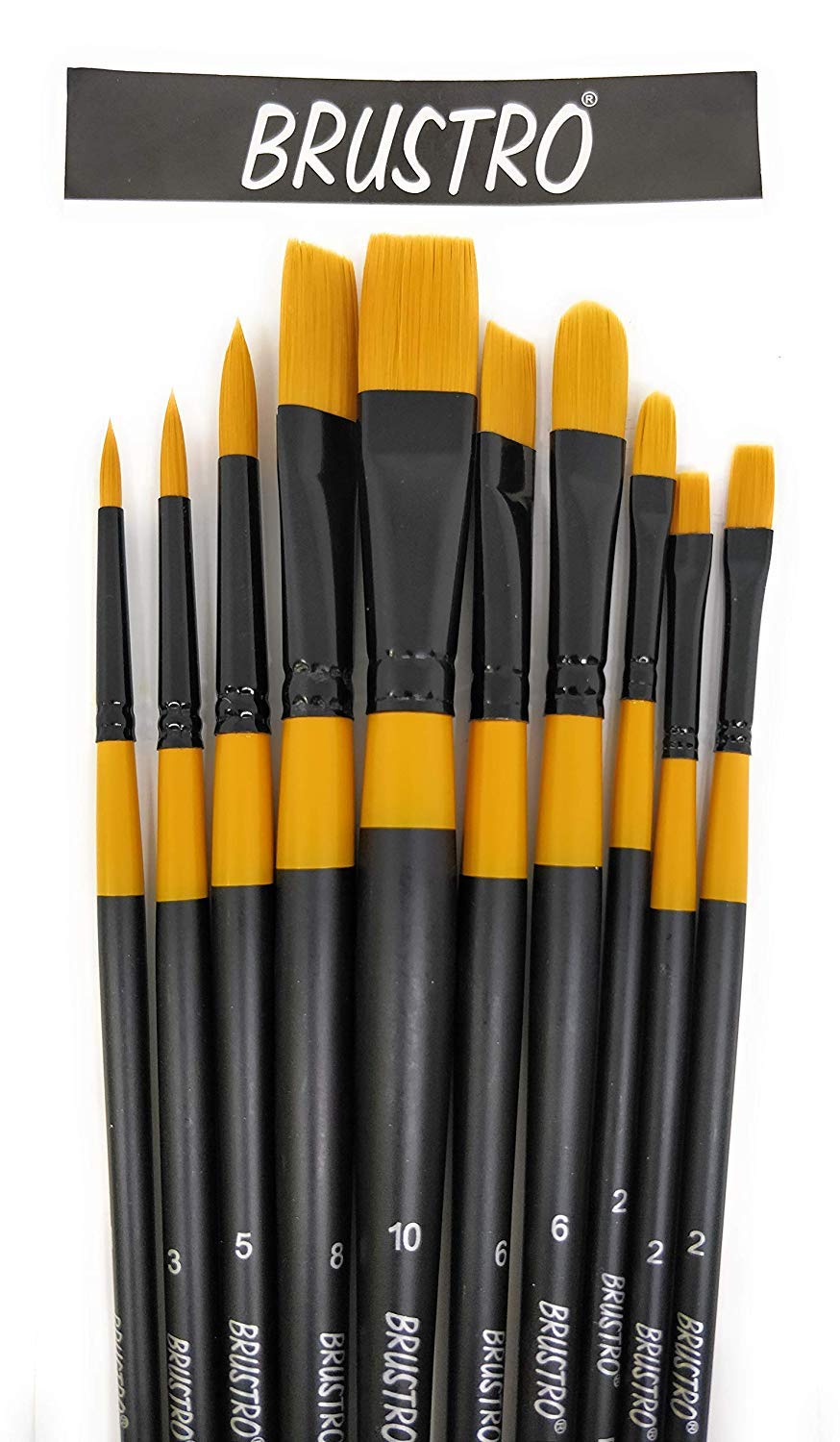 BRUSTRO Artists ’ Acrylic Colour Set of 12 Colours X 12ML Tubes with Gold Taklon Brush Set of 10 and 5 Canvas Boards (4x6, 6x8, 8x10, 10x12, 10x14)