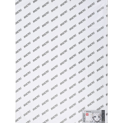 Brustro Bristol Ultra Smooth Paper 250 GSM, Size - 56 x 76 cm, 10 Sheets