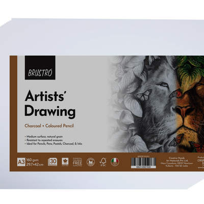 Brustro Artists Drawing Paper 160 GSM A3 Size, Pack of 30 Sheets
