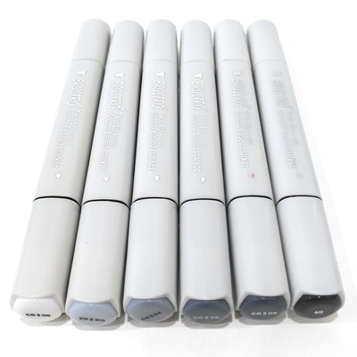 BRUSTRO Twin Tip Alcohol Based Marker Sets (CG B (6)) in Crossline PP See Through Box