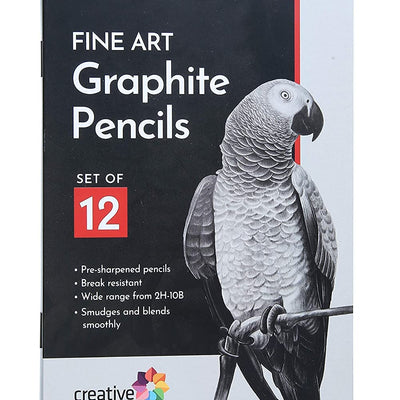 Brustro Wiro Bound A5 Size Artists Sketch Book, 120 Pages, 160 GSM and BRUSTRO Artists ’ FINEART Graphite Pencil Set of 12 (10B-2H)