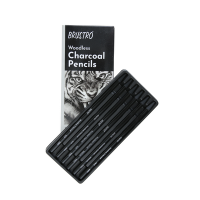 Brustro Woodless Charcoal Pencil Set of 6 (3 Soft, 2 Medium, 1 Hard)