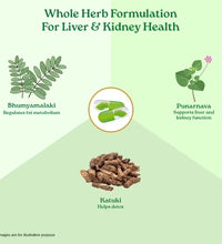 Organic India Liver Kidney Care - 180 Capsule