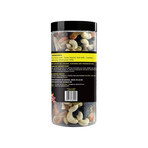 True Elements Panchmeva Dry Fruit Mix - Fasting Snack 400 gms