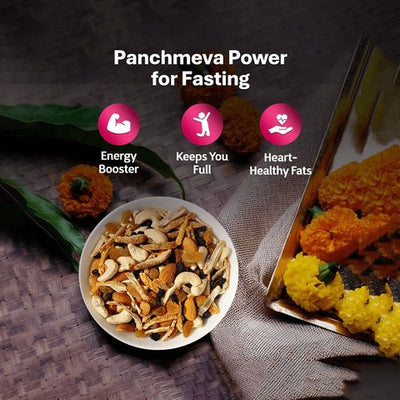 True Elements Panchmeva Dry Fruit Mix - Fasting Snack 400 gms