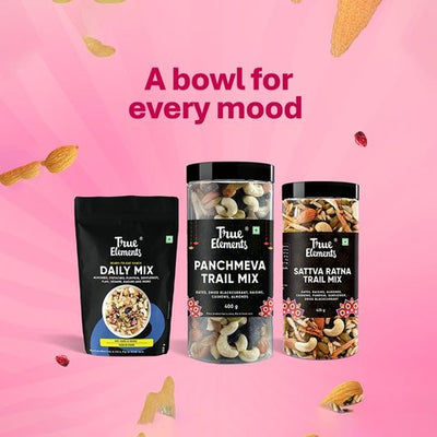 True Elements Panchmeva Dry Fruit Mix - Fasting Snack 400 gms