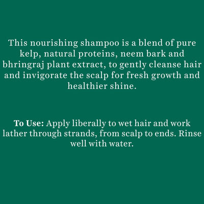 Biotique Bio Kelp Protein Shampoo For Falling Hair