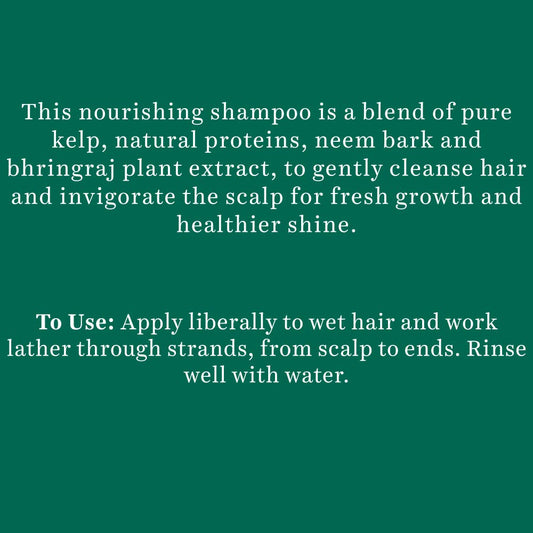 Biotique Bio Kelp Protein Shampoo For Falling Hair