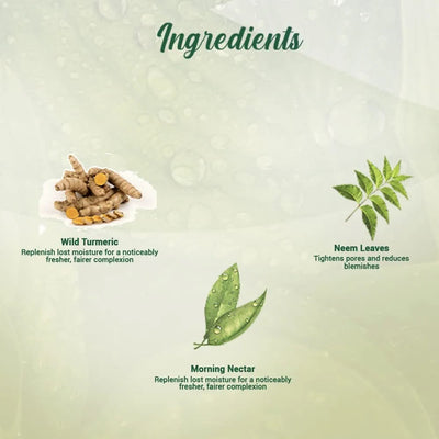 Biotique Morning Nectar Moisturize & Nourish Visibly Flawless Face Wash (All Skin Types)